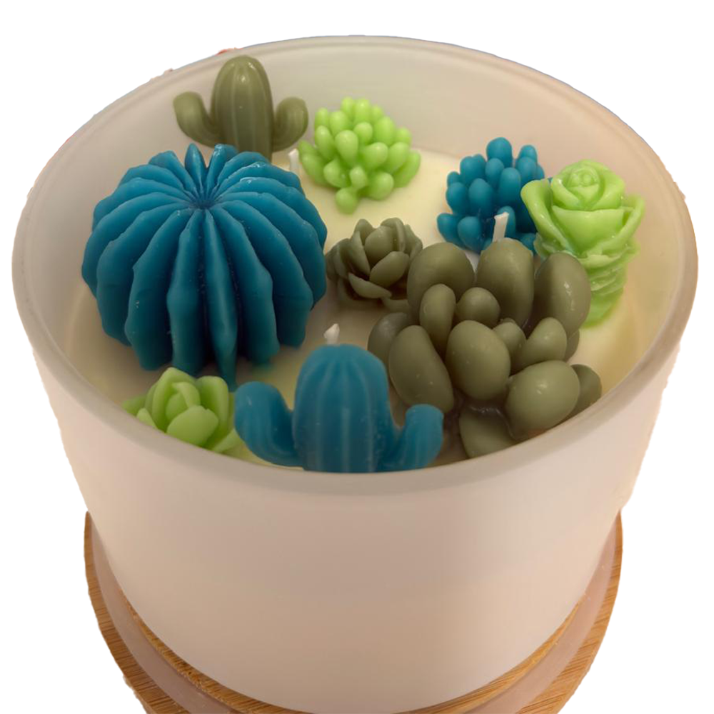 3-Wick Suculent Soy Candle